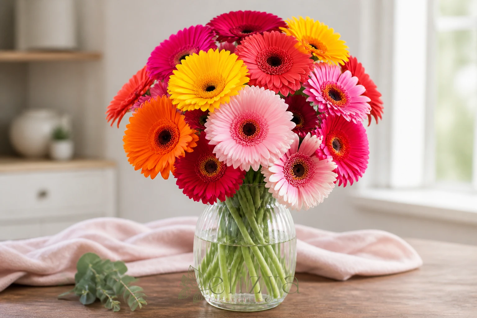 Gerbera Rehberi: Neşeyi ve Canlılığı Eve Taşıyan Çiçek
