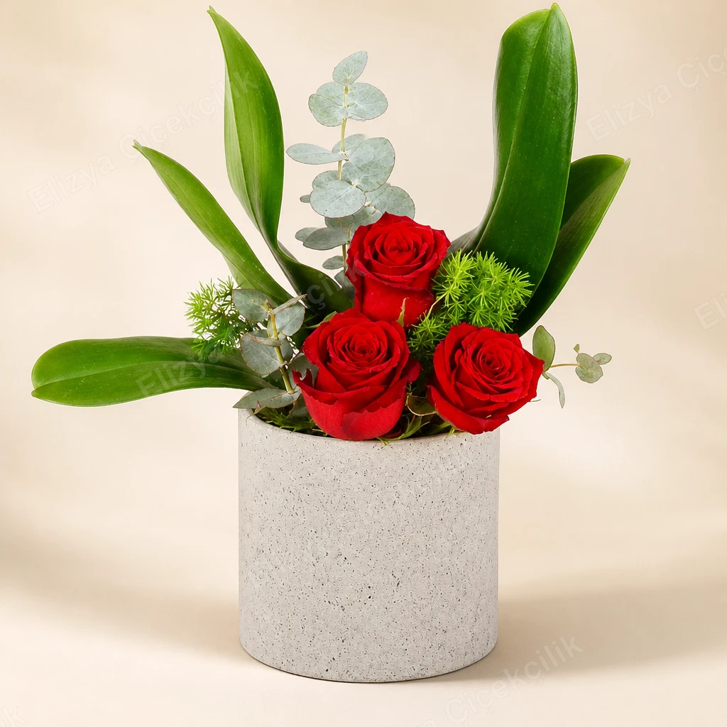 Crimson Grace — Beyaz Orkide ve Kırmızı Gül — görsel 2