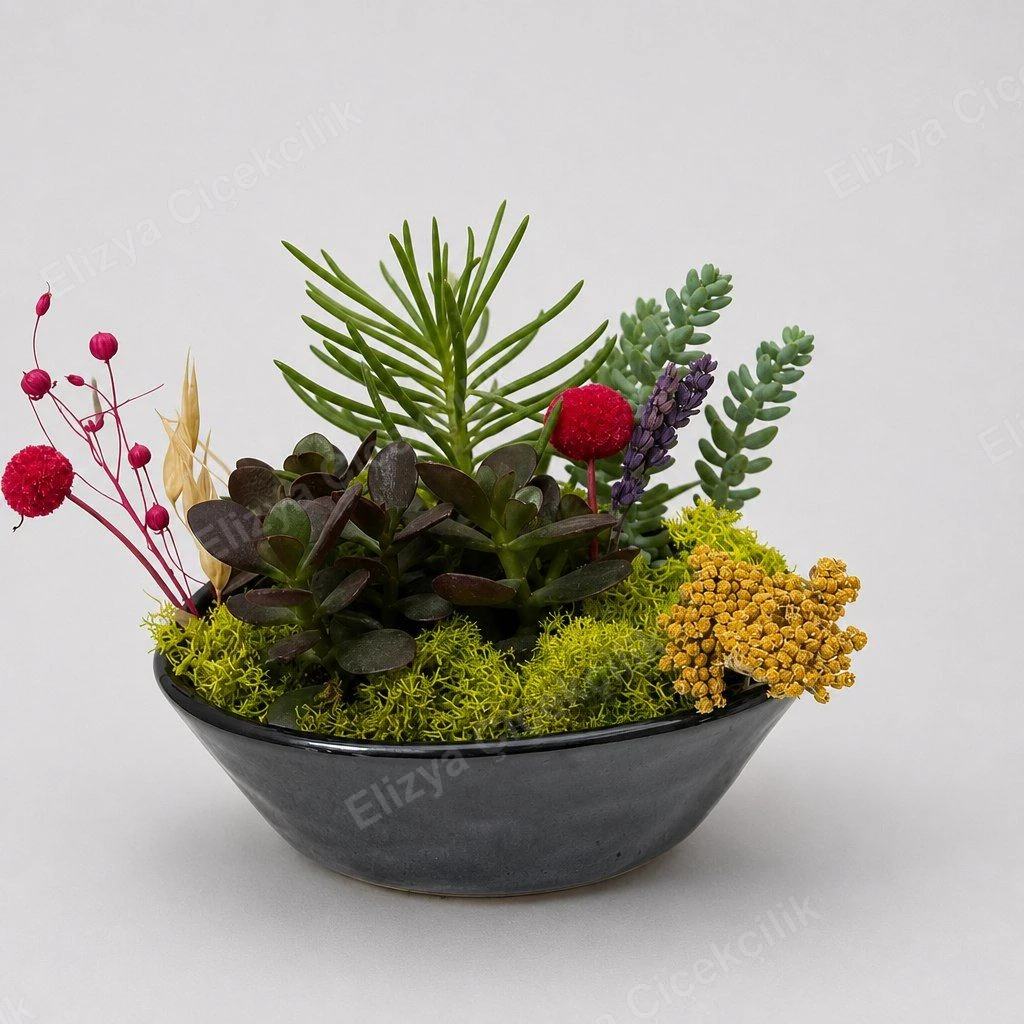Desert Garden — Sukulent Bahçesi Aranjmanı — görsel 3