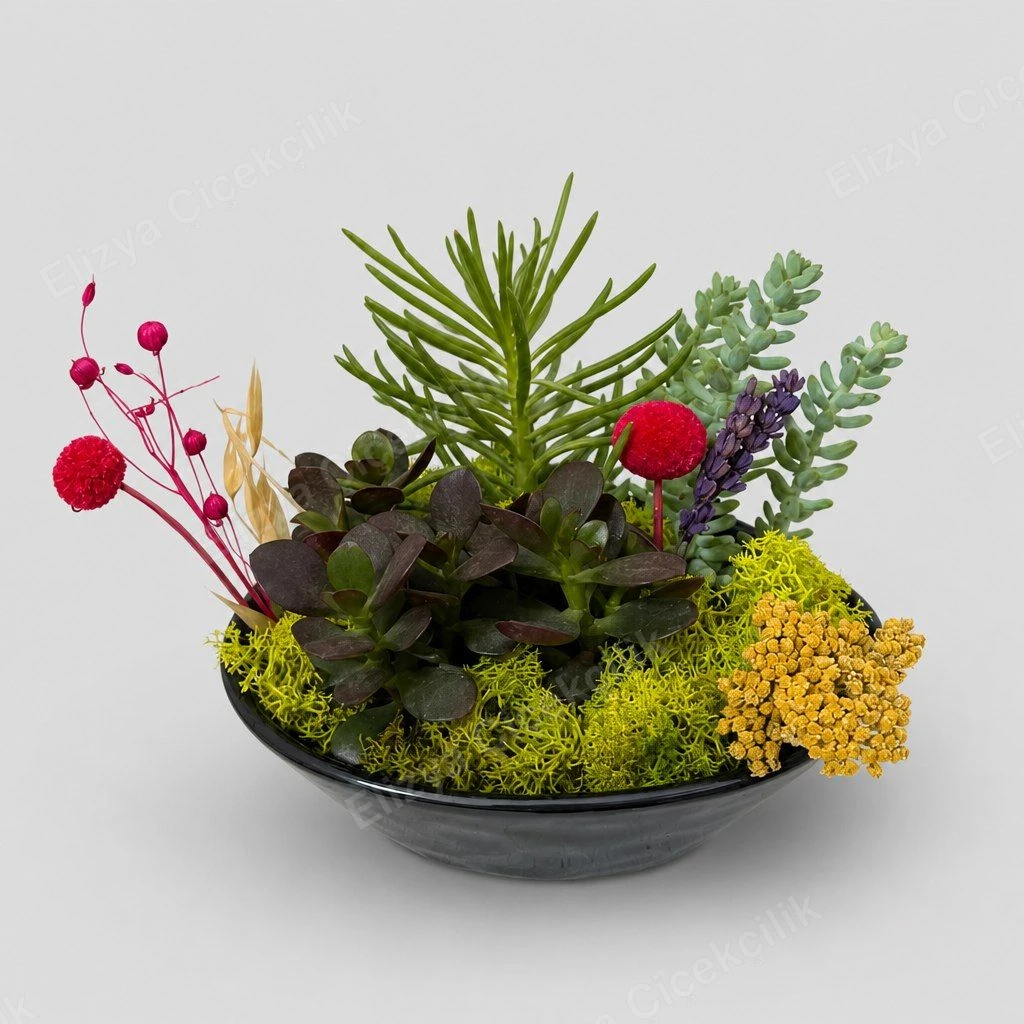 Desert Garden — Sukulent Bahçesi Aranjmanı