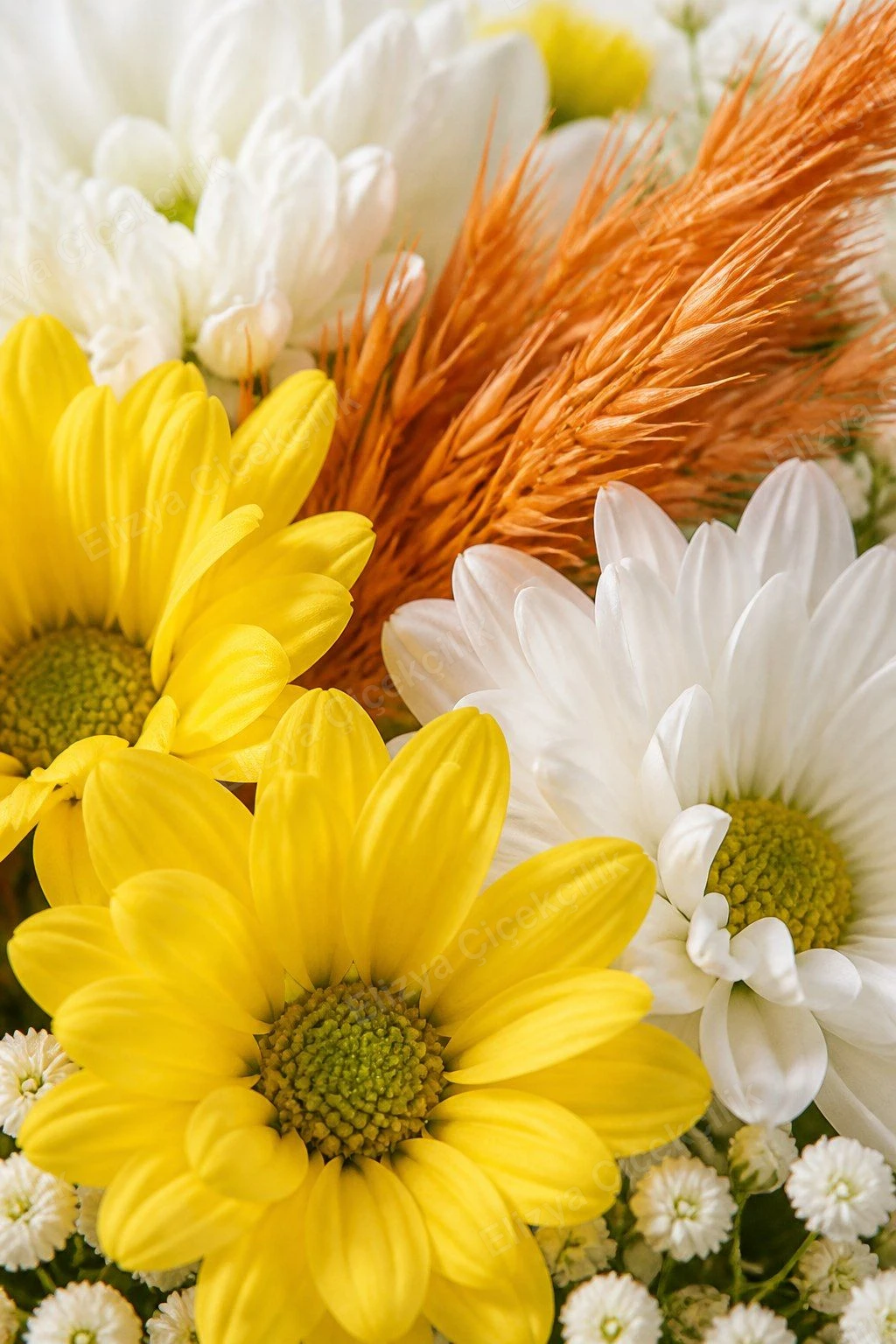 Sunny Meadow — Sarı-Beyaz Papatya Buketi — Hardal Sarısı Ambalaj — görsel 3