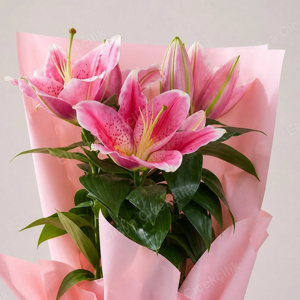 Pink Whisper — Pembe Oriental Lilyum — görsel 2