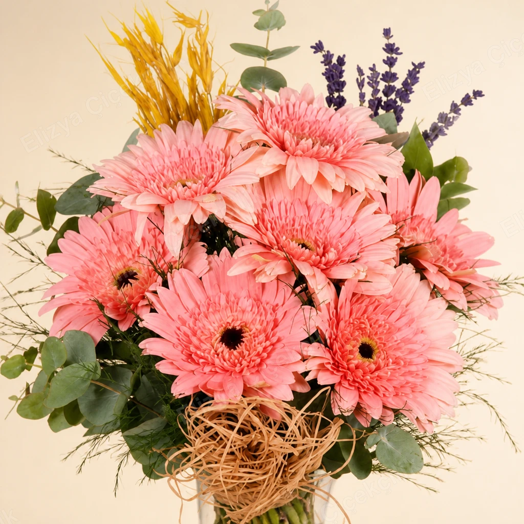 Rosy Gerbera — Pembe Gerbera — görsel 2