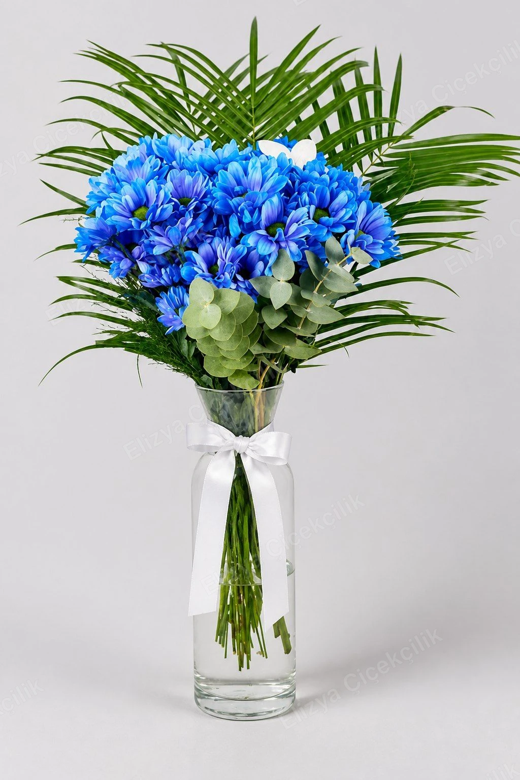 Sapphire Muse — Vazoda Mavi Krizantem — Palmiye & Cam Vazo — görsel 2