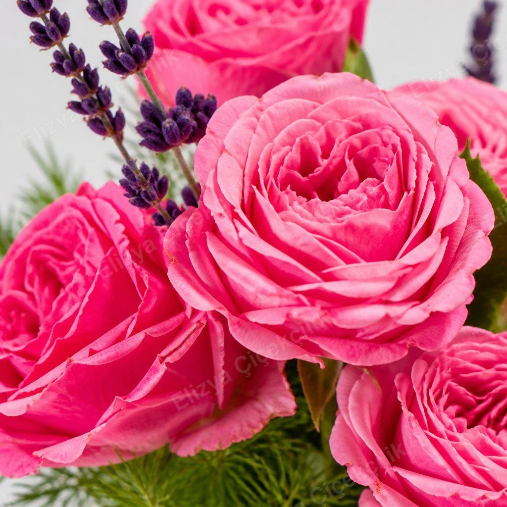 Fuchsia Bloom — Fuşya Gül & Lavanta Aranjmanı — görsel 4