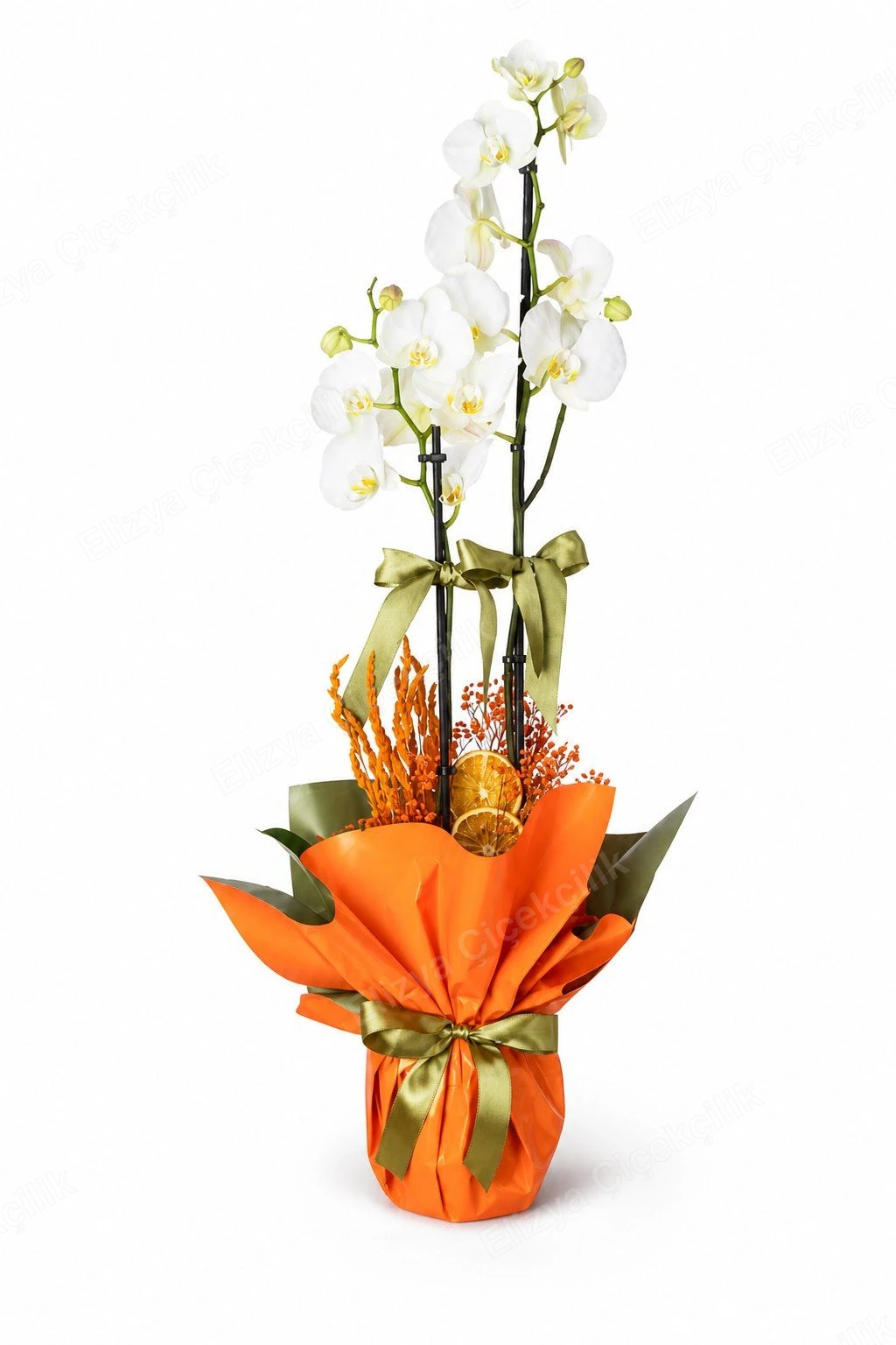 Amber Grace Orchid — Beyaz Çift Dal Orkide Turuncu Folyo Ambalajlı