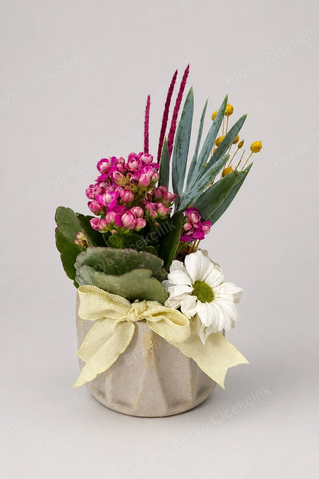 Cheerful Kalanchoe — Neşeli Kalanşo Aranjmanı