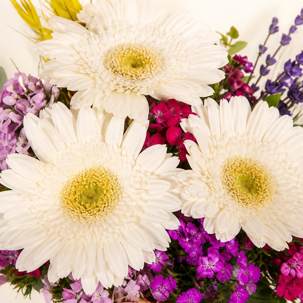 Daisy Charm — Beyaz Gerbera ve Hüsnüyusuf — görsel 3
