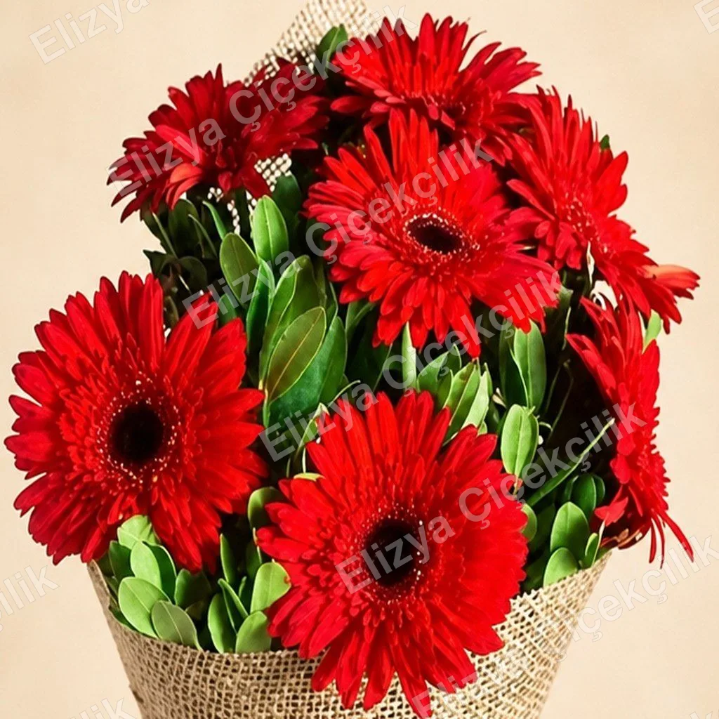 Kırmızı Gerbera Buketi — görsel 2