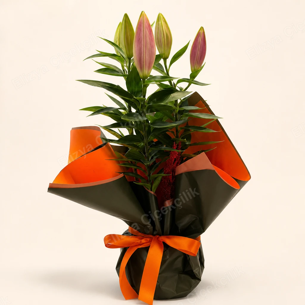 Blush Serenade — Pembe Oryantal Lilyum — görsel 2