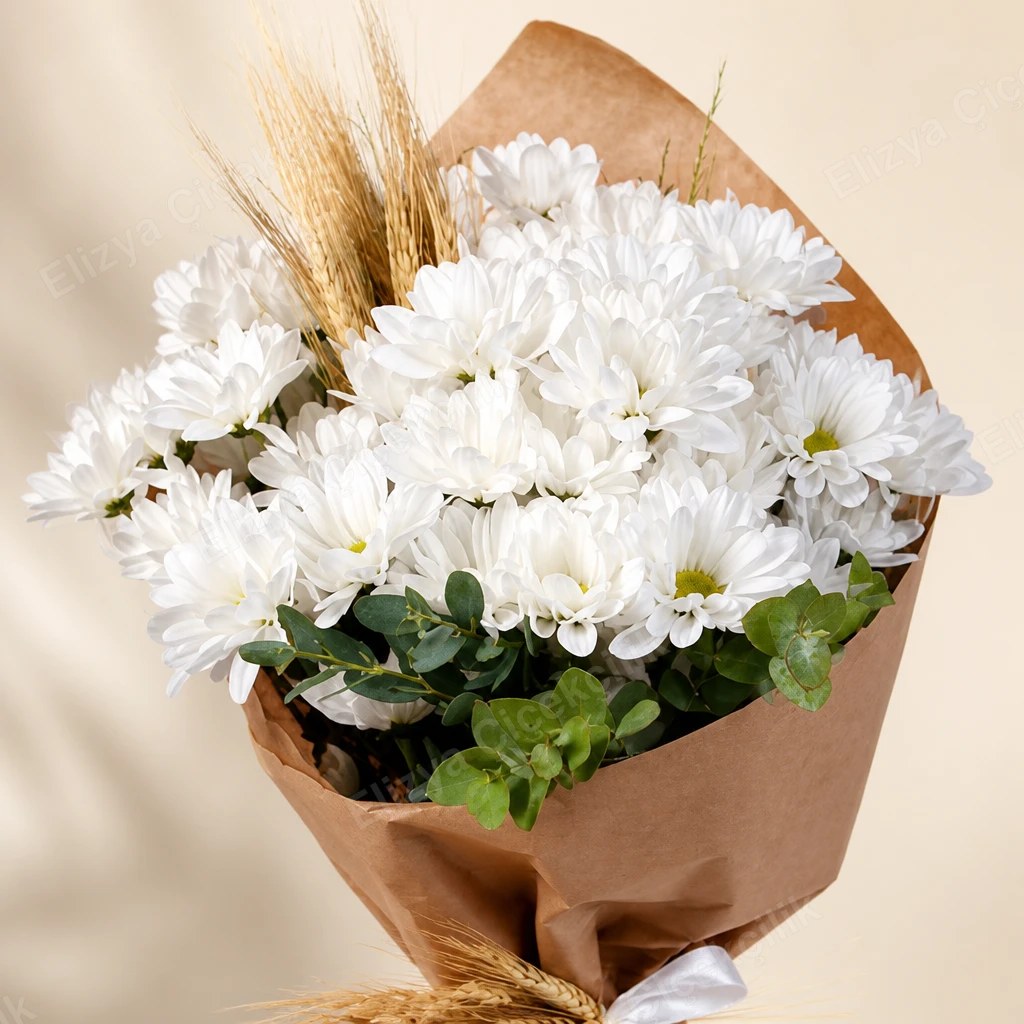 Daisy Meadow — Beyaz Papatya — görsel 2