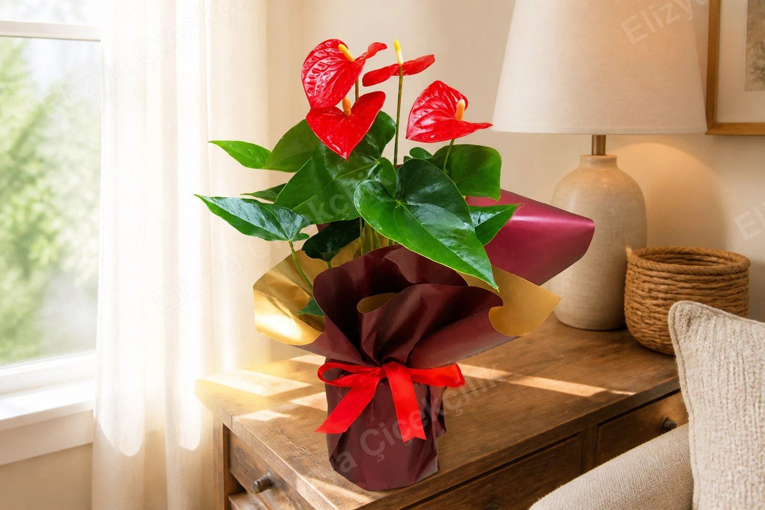 Kırmızı Antoryum Anthurium Saksı Bitkisi — görsel 3