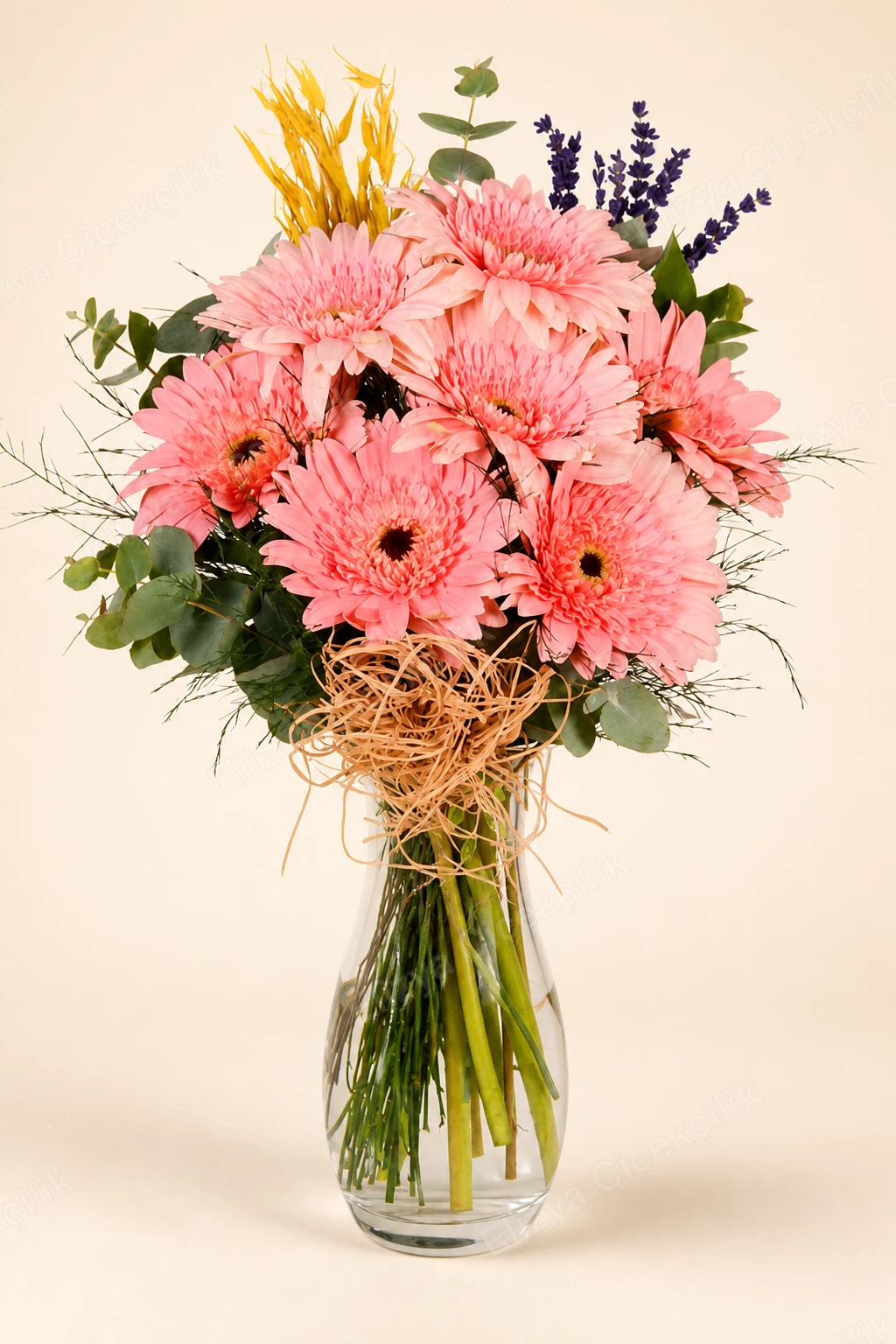 Rosy Gerbera — Pembe Gerbera