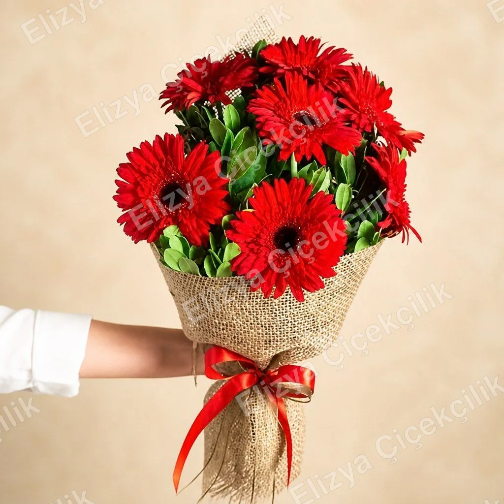 Kırmızı Gerbera Buketi