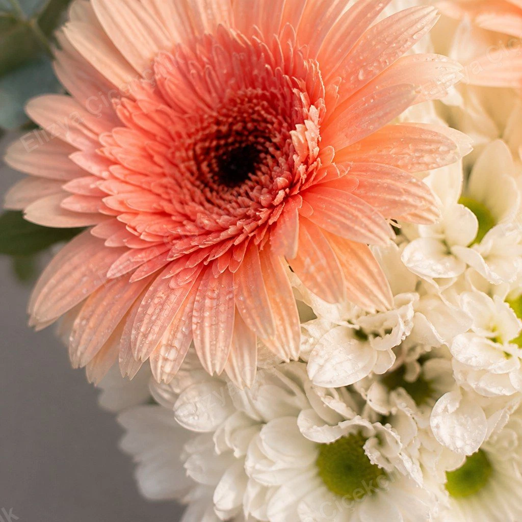 Somon Gerbera & Krizantem — Vazoda Zarafet — görsel 3