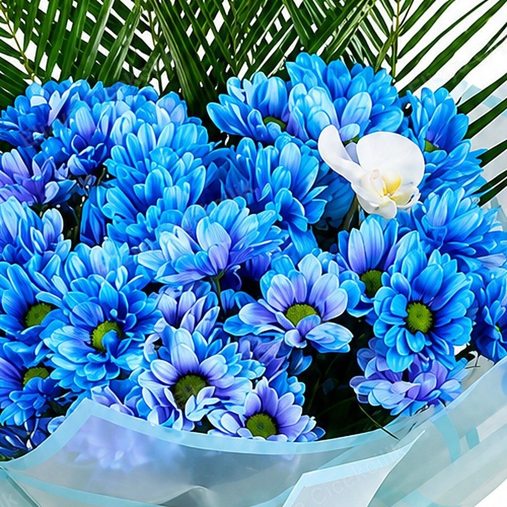 Azure Whisper — Mavi Kasımpatı Buketi — görsel 3