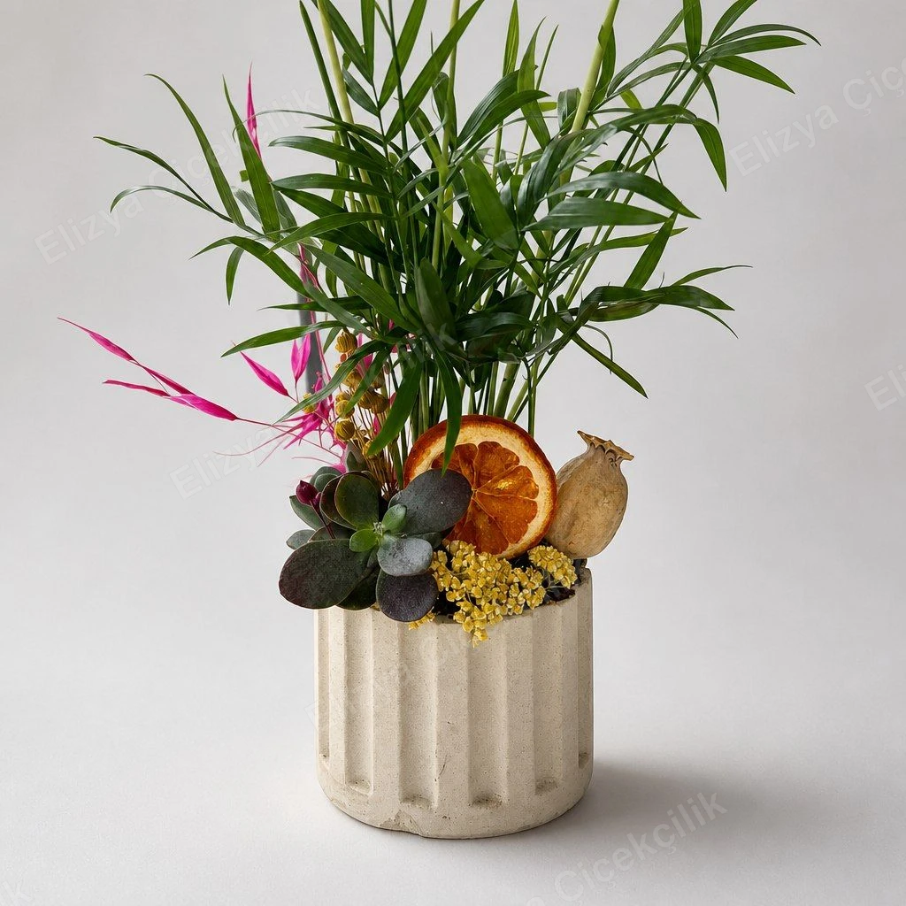 Green Haven — Mini Chamaedorea Teraryum