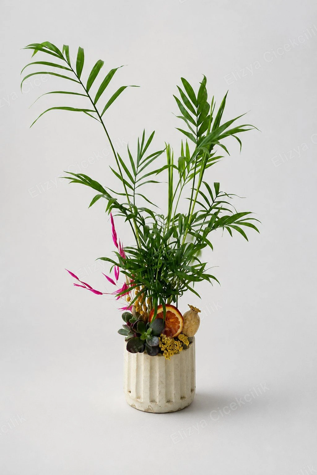 Green Haven — Mini Chamaedorea Teraryum — görsel 3