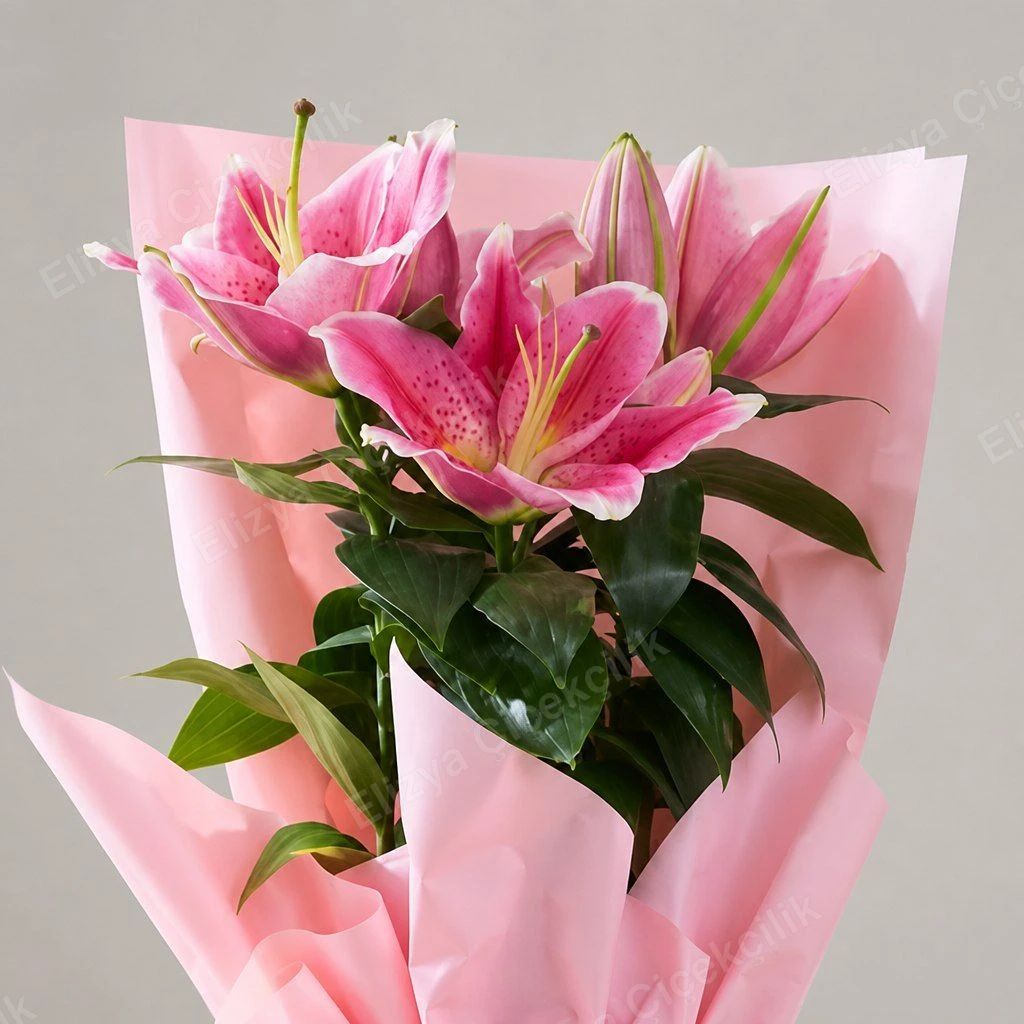 Pink Oriental Grace — Pembe Oryantal Zambak — görsel 3
