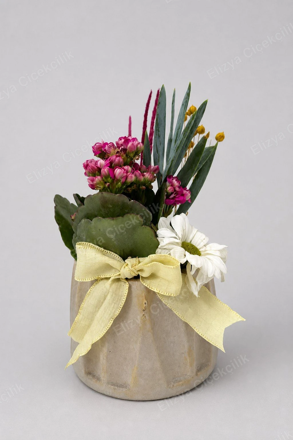 Cheerful Kalanchoe — Neşeli Kalanşo Aranjmanı — görsel 2
