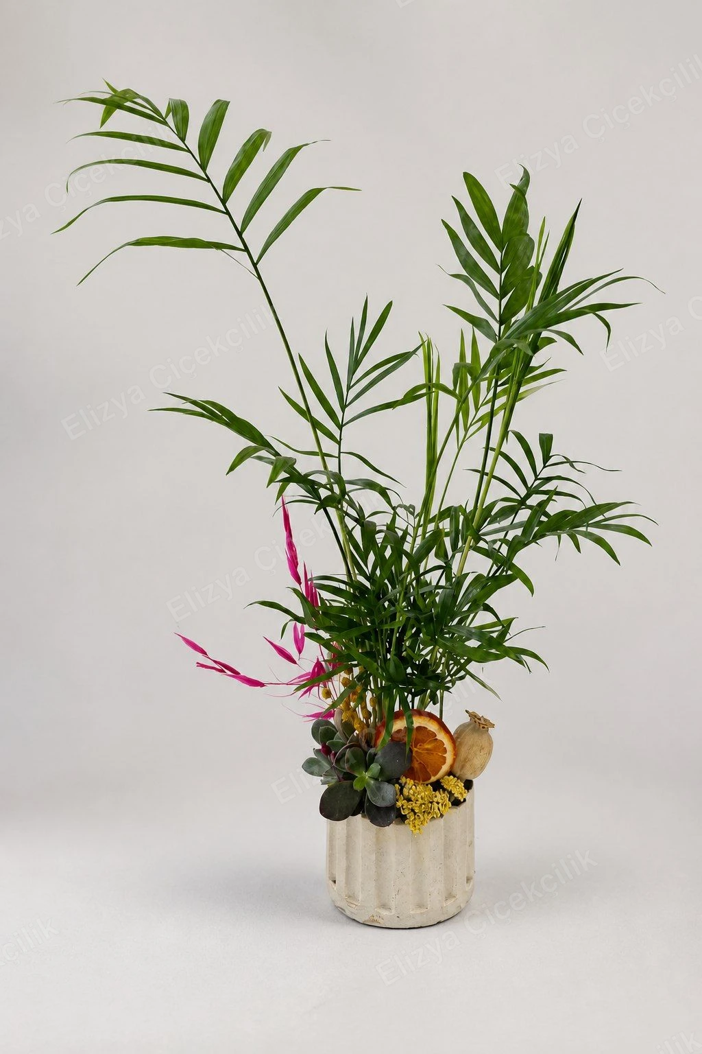 Green Haven — Mini Chamaedorea Teraryum — görsel 2