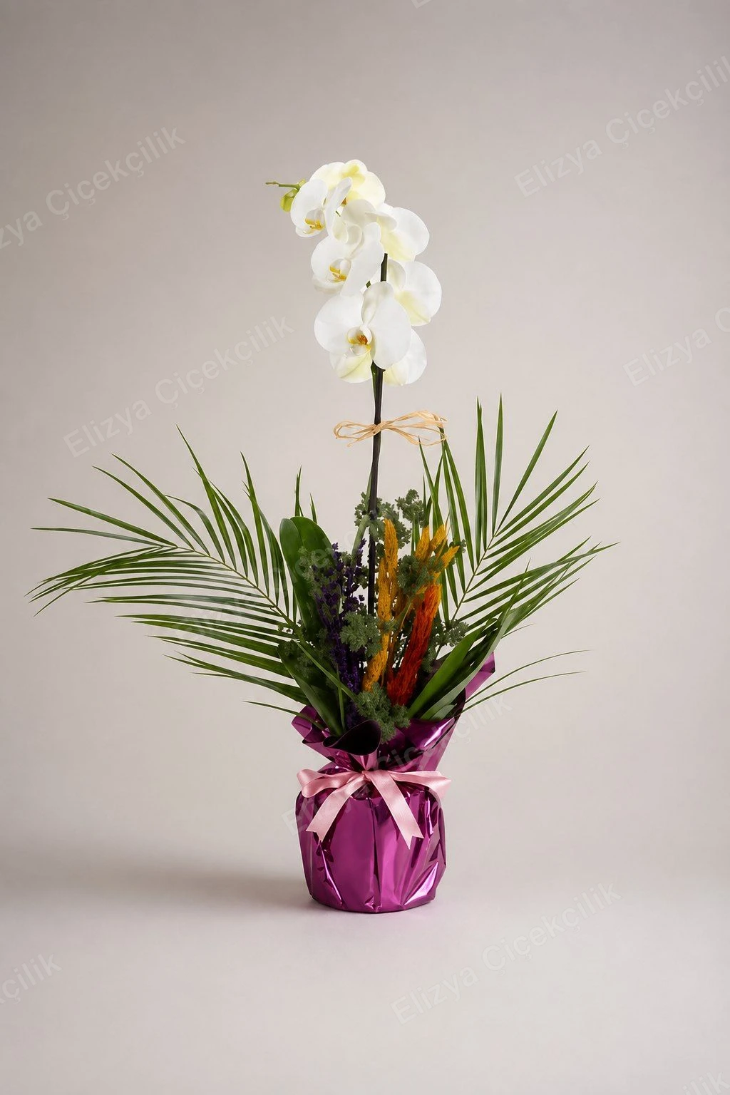 Serene White — Tek Dallı Beyaz Orkide Aranjmanı