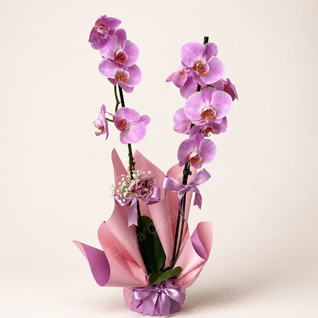 Lilac Grace — Çift Dallı Mor Orkide — görsel 3