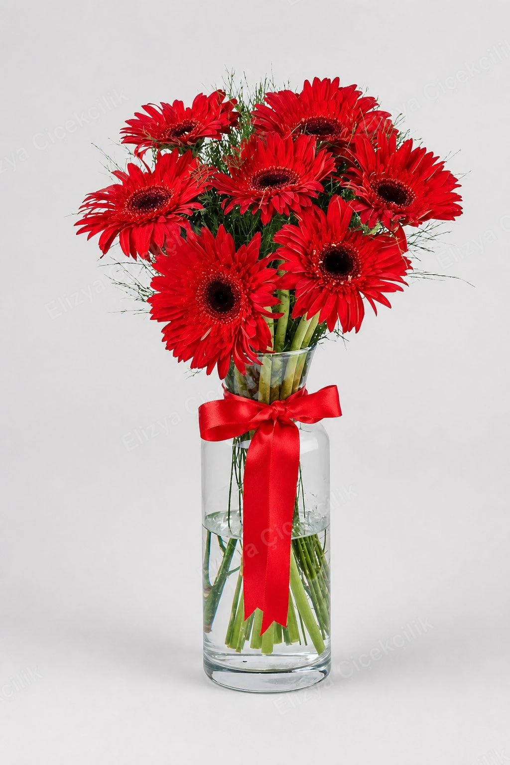 Scarlet Cheer — Vazoda Kırmızı Gerbera — Zarif Cam Vazo