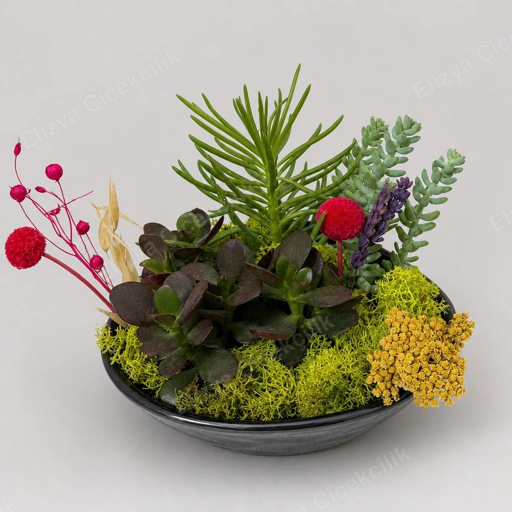 Desert Garden — Sukulent Bahçesi Aranjmanı — görsel 2