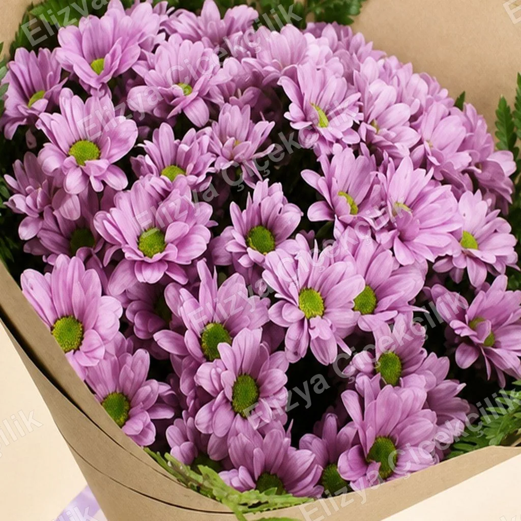 Violet Meadow — Mor Papatya Buketi — görsel 2