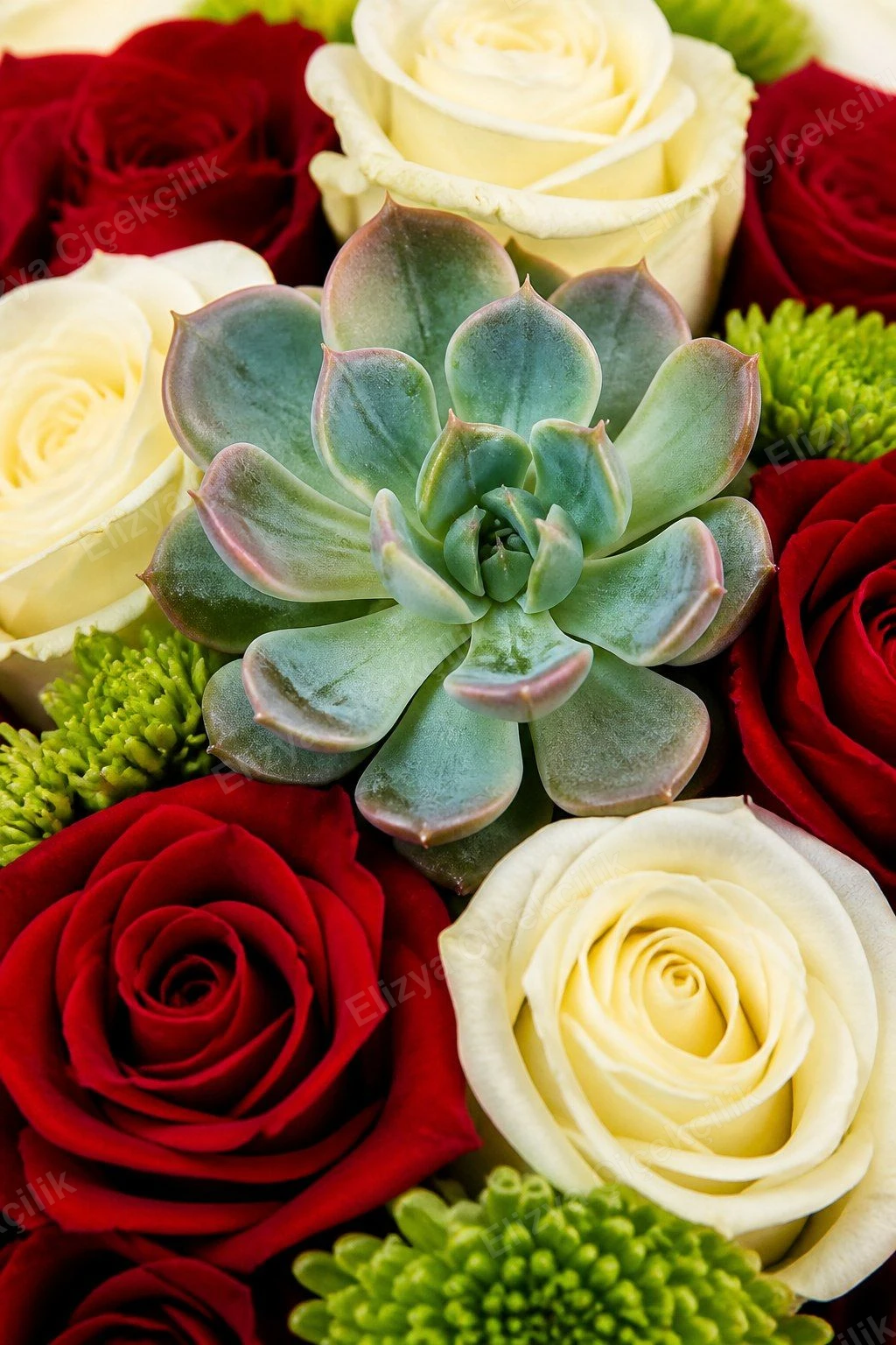 Scarlet & Ivory Charm — 17 Kırmızı 5 Beyaz Gül Buketi - Sukulentli — görsel 3