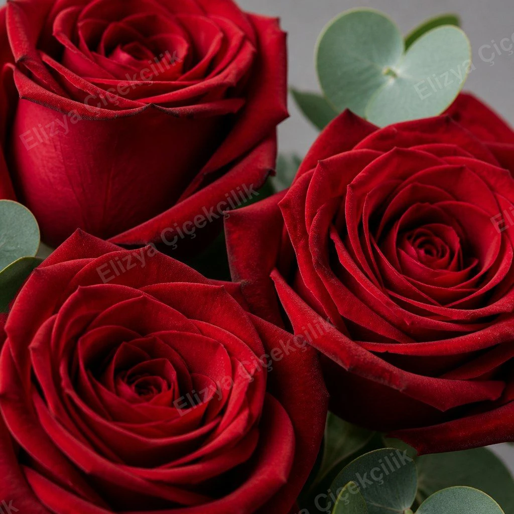 Timeless Red — 20 Kırmızı Gül Buketi — görsel 3