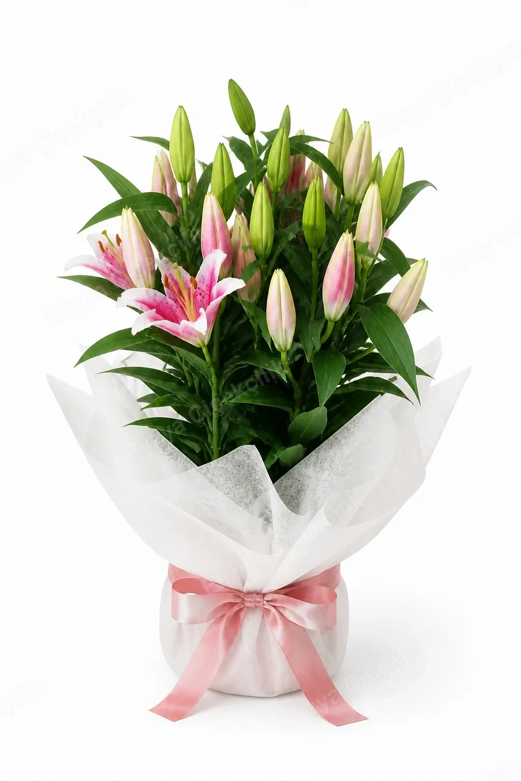 Pink Lily Elegance — Pembe Zambak Zarafeti — Lilyum — görsel 2
